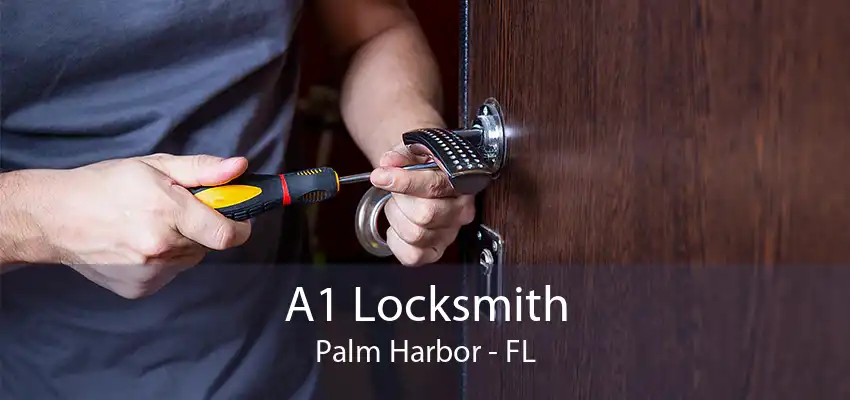 A1 Locksmith Palm Harbor - FL